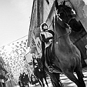 1877_DM3_2071