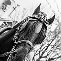 5317_DM3_6553