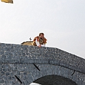 5446_DM3_6705