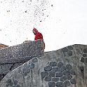 5505_DM3_6785