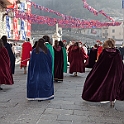 05597_IMG_5887