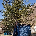 07682_DM3_1139