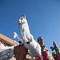 08240_IMG_6959