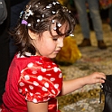 07058_DM3_0082
