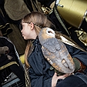 05486_DM3_9185