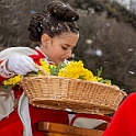 00889_DM3_3533