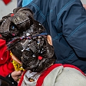 01021_DM3_3732