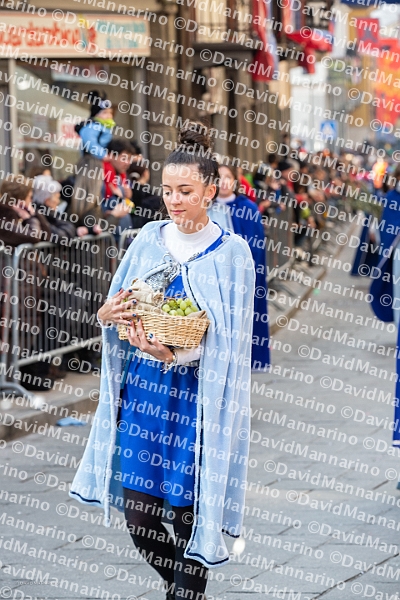 2737-DM3_9487-