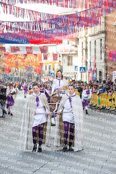 2921-DM3_9697-