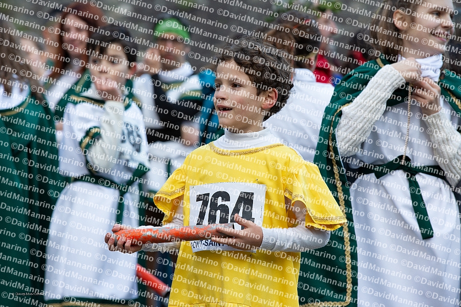 3095-DM3_9882-