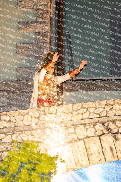 0599_DM3_8207