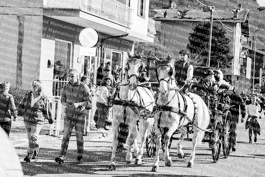 0745-DM3_1043-