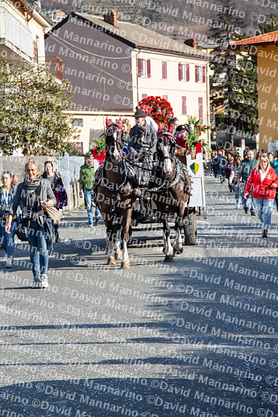 0796-DM3_1113-