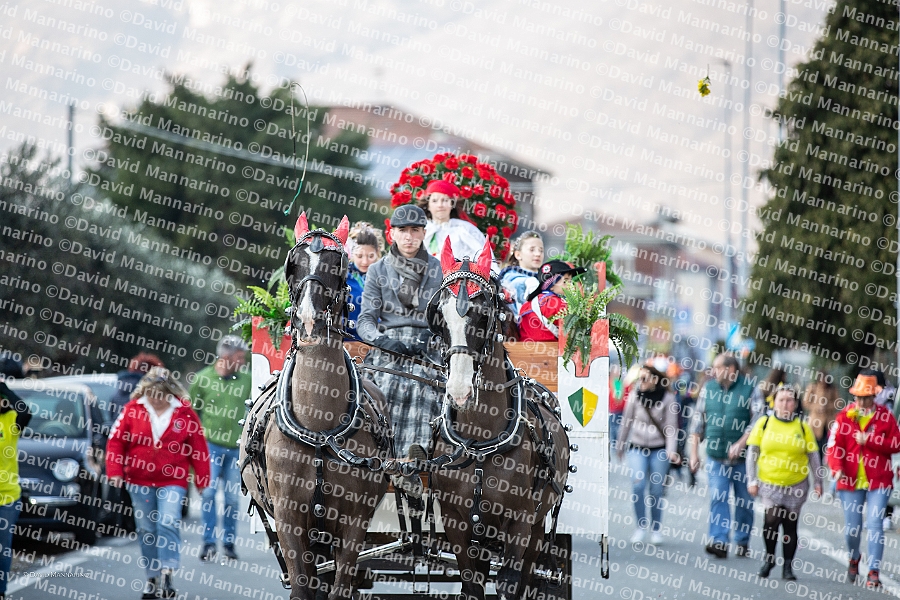 0879-DM3_1223-