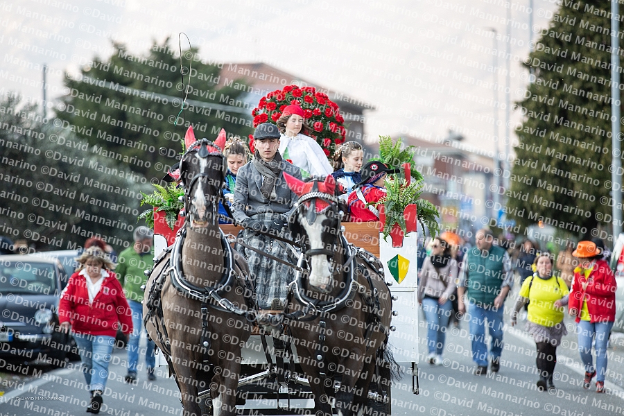 0880-DM3_1224-