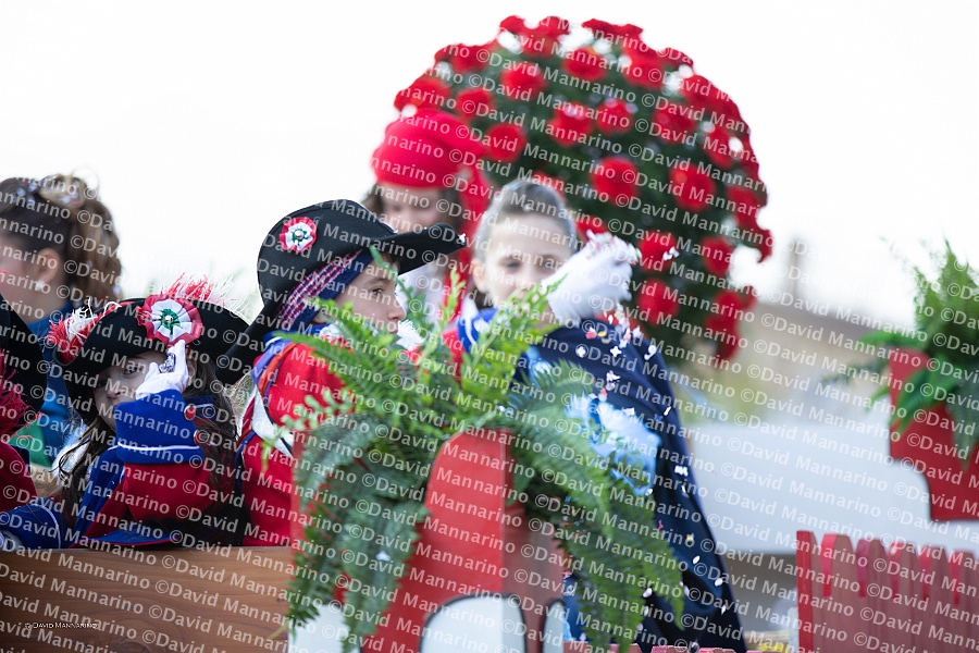 0883-DM3_1230-