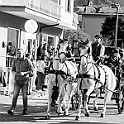 0745-DM3_1043-