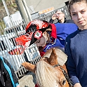 0793-DM3_1109-
