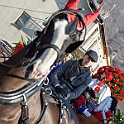 0801-DM3_1121-