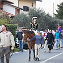 0855-DM3_1196-