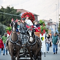 0880-DM3_1224-
