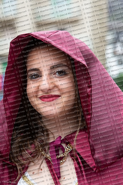 1172_DM3_2494