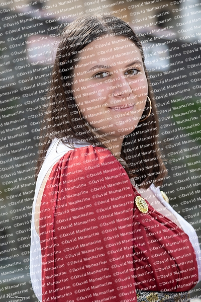 2390_DM6_2313